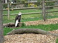 IMG_0168