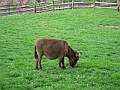 IMG_0169
