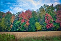 River_Road