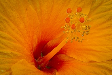 1G0A6232-Edit