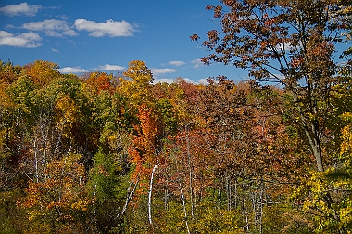 _MG_7044