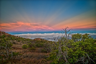IMG_3561-Edit