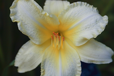 IMG_4716-Edit